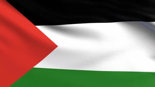 Realistic Palestinian Flag Waving in the Wind Animation