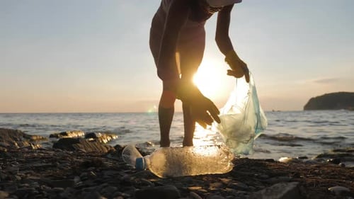 Volunteer Girl Collects Trash in the Trash Bag. Plastic Bottles and Other Trash on Sea Beach