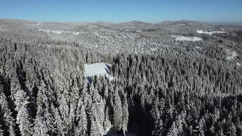 Aerial Video Mountain Forest Covered in Snow on a Sunny Winter Day with Blue Clear Sky, Drone Shot