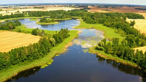 Stunning green forest and blue lake in summer, aerial view