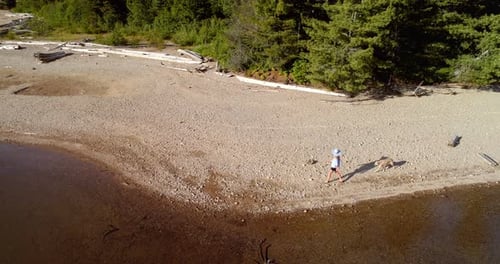 Woman with her pet dog walking near river coast on a sunny day 4k