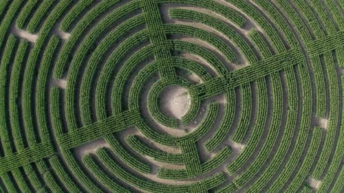Crop Circles Aéreo