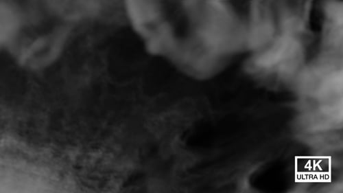 Abstract Smoke Fluid Logo Reveal Animation