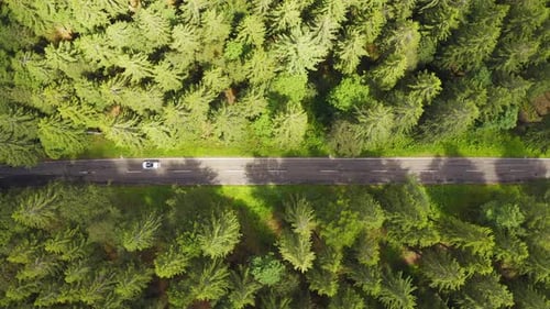 Luftbild von oben nach unten fliegen über die Forststraße mit Auto