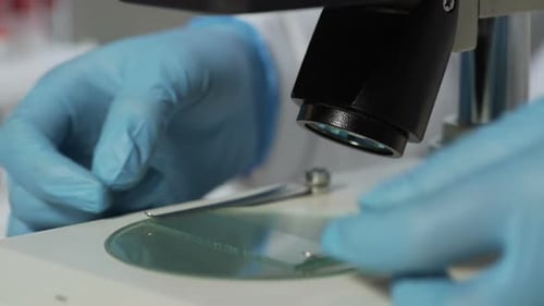 Microscope Slide Placed for Analysis in Lab