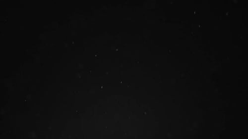 Dust Particle