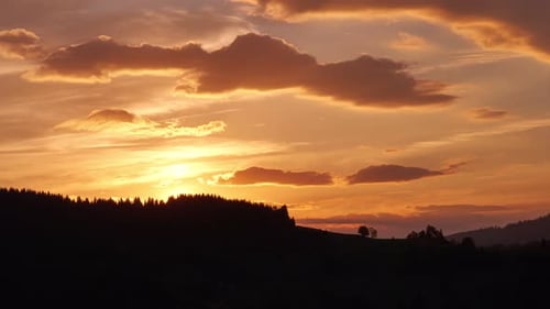 Aerial Shot of Sunset Over Trees