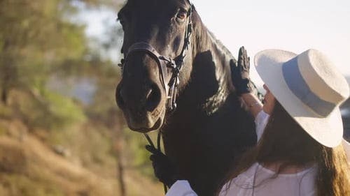 Hermoso caballo mirando a la cámara como una mujer dando palmaditas en el cuello en cámara lenta