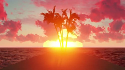 Palms on Small Island 4