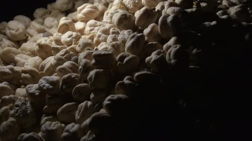 Macro Shot of Piled Chick Peas