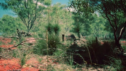 Natural Landscape with Red Earth and Green Vegetation