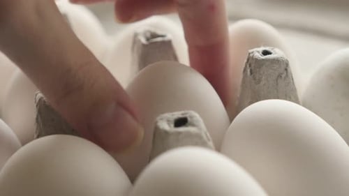 Entnahme von weißem Hühnerei aus Box 4K-Aufnahmen