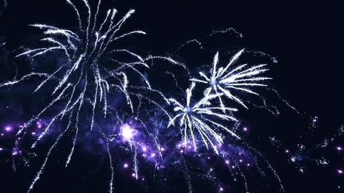 Brilliant Fireworks Exploding Dynamically in Night Sky