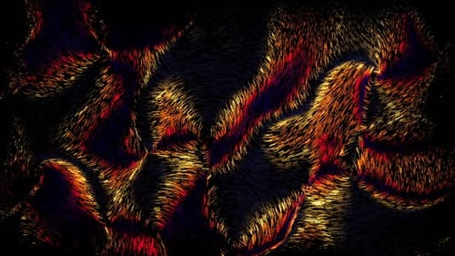 Abstract Fluid Particle Wave Background Animation