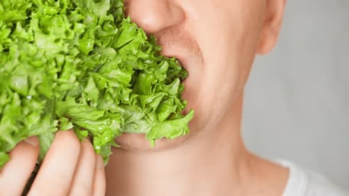 Close Up Face Fair Man Eating Leaf Vegetable