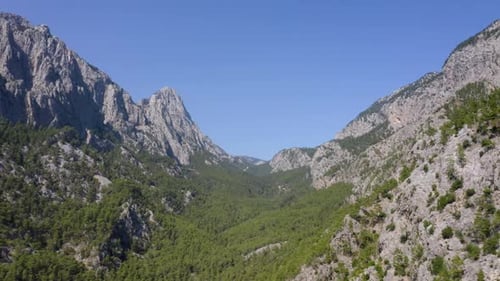 High Mountains and Green Forests Under Blue Sky on a Summer Day