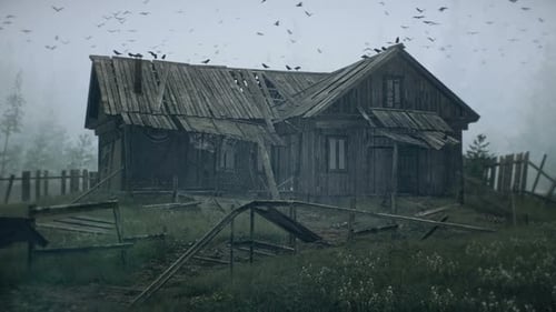 Abandoned Wooden House in Misty Forest with Flying Crows