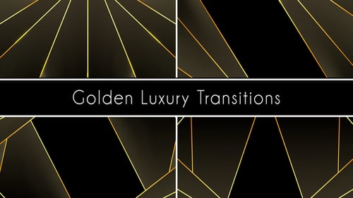Elegant Black and Gold Geometric Line Transitions