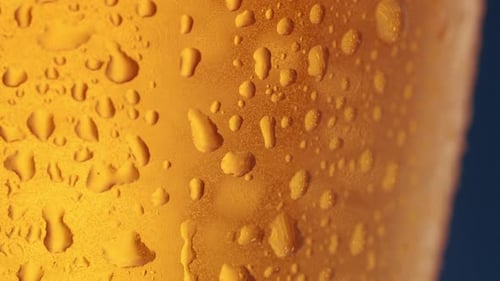the Light Passes Behind the Glass of Beer Air Bubbles Can Be Seen in the Glass