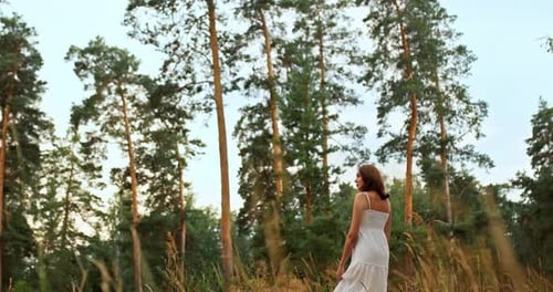 Beautiful Romantic Girl Walks on the Grass, a Clearing Near a Pine Forest, Travel. Walk in a Pine