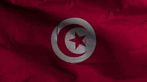 Tunisia National Flag Realistic Waving Animation
