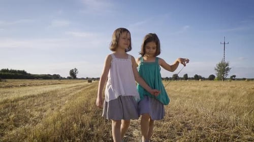 Two Charming Girls Are Walking on Mowed Rye in the Field