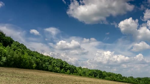 White Clouds