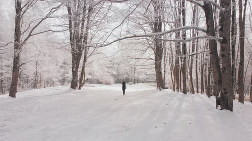 Back View Woman Walking Down The Road From Forest To The Car In Winter
