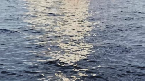 Shimmering Sunlight Reflecting on Water Surface