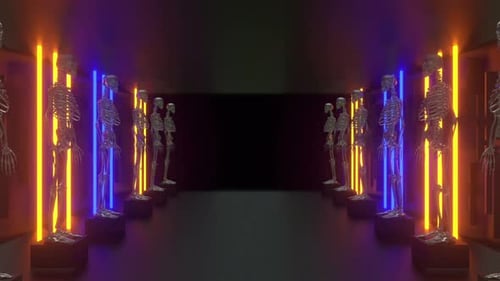 Skeleton Laser Tunnel 03 Hd