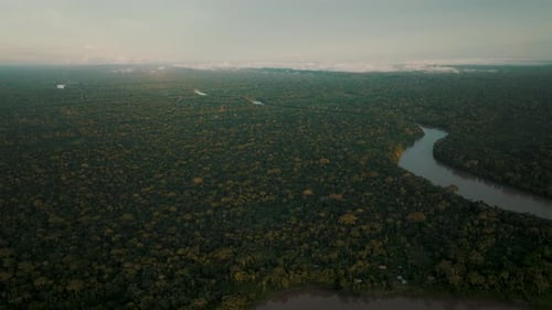 Aerial view of amazon river between deep rainforest and jungle in Peru