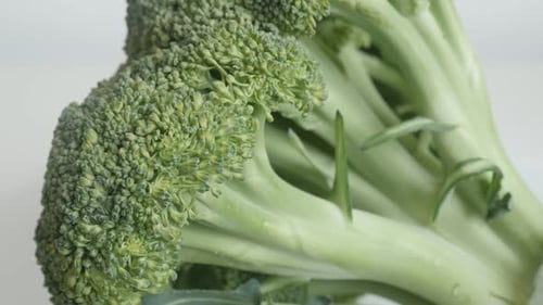 Fresh Green Broccoli Close-Up