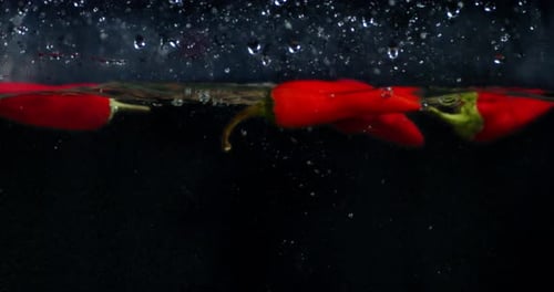 Chili Peppers Falling and Floating in Water