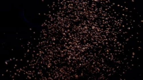 Fragrant Coffee Grains Splashing in Super Slow Motion