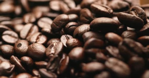 Close Up of Rich Roasted Coffee Beans