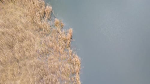 lake and reeds in autumn, Igneada, Turkey
