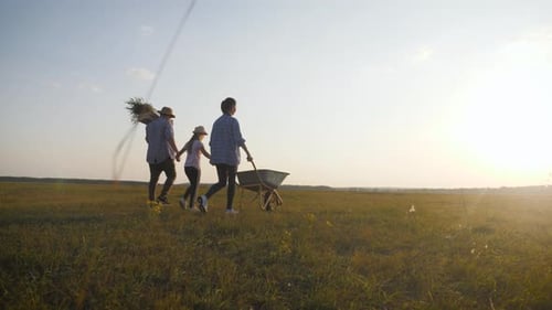 Young Family Having Fun Outdoors in Their Farm. Gardener Woman Pushing Wheelbarrow with Vegetables
