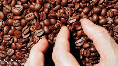 Aromatic Roasted Coffee Beans Texture