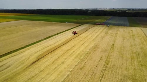 Combine Harvester on a Wheat Field