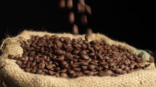 Roasted Coffee Beans Poured into Burlap Sack