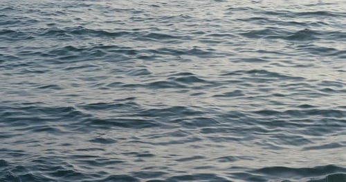 Sea surface under sunset time