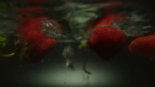 Reife Erdbeere wäscht sich im fließenden Wasser