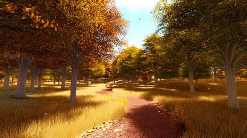 Autumn In The Park