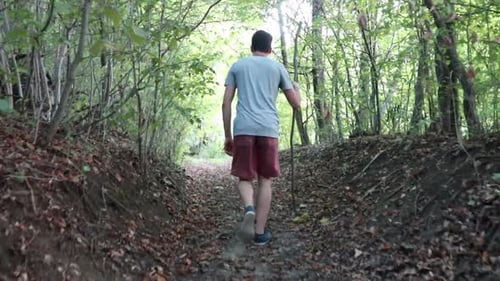 A man walks on a footpath in forest, daytime, summer season. Young man filmed from behind while Wal