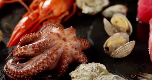 Fresh Seafood Platter with Octopus, Tuna, and Shellfish