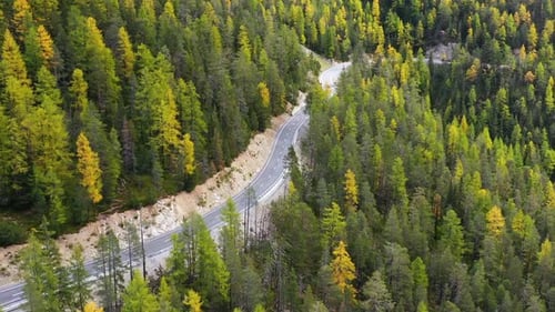 Luftaufnahme der Straße und des Waldes im Herbst. Dolomiten, Italien. Wald und Straße.