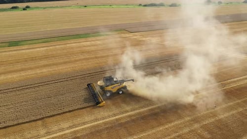 Harvester erntet Weizenernte auf dem Feld