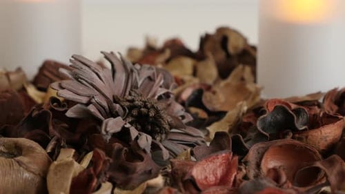 Potpourri and Candles for Home Decor