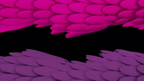 Colorful exotic snakeskin texture flowing on black background