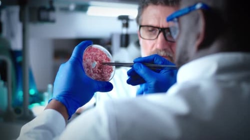 Scientists Examining Meat Sample in Laboratory